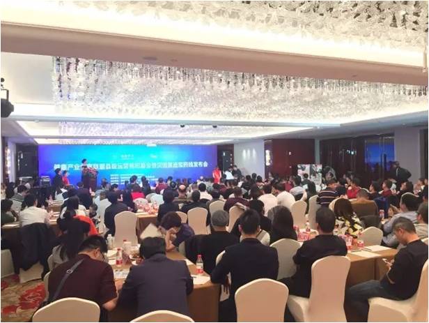 图片6 图片6